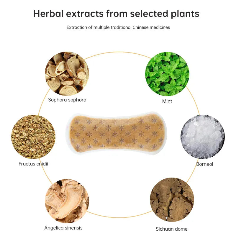 10Pcs Zimeishu Silver-ion Gynecological Cure Care Pad Womens Medicated Sanitary Pads Female Feminine Hygiene Yoni Pearls