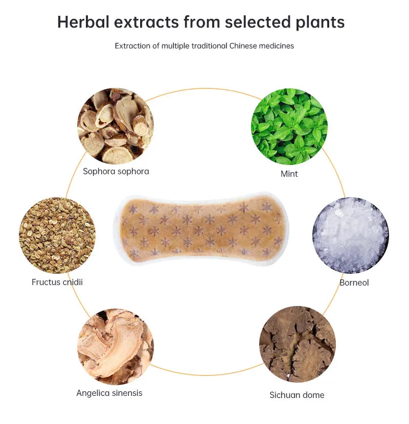 10Pcs Zimeishu Silver-ion Gynecological Cure Care Pad Womens Medicated Sanitary Pads Female Feminine Hygiene Yoni Pearls